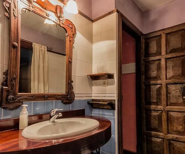 La Antigua Botica 乡村民宿 帕萨若